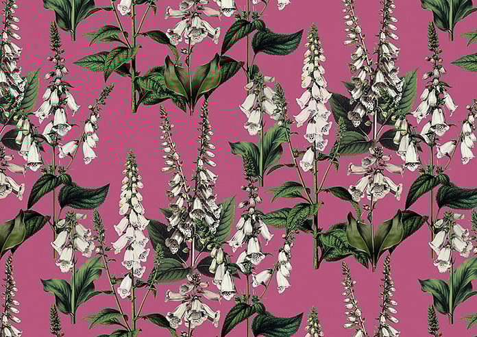 Foxcote, Cosmos - Twist&Fit Roman Blind - Image 8